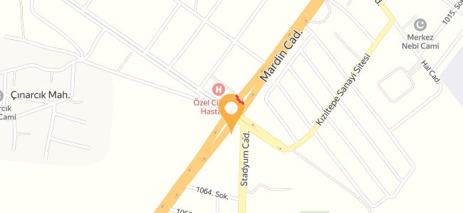 Lokman Usta Kebab Ve Lahmacun Salonu, Turgut Özal
