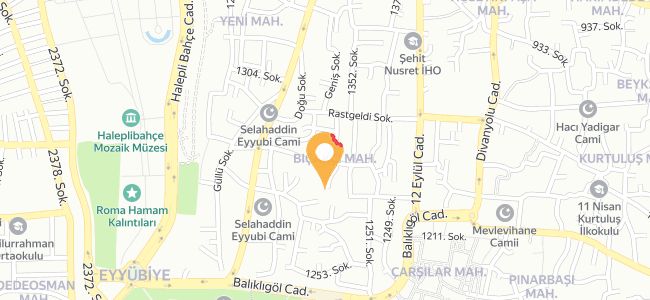 Şefik Usta Kelle Paça Ve Tantuni Salonu, Bıçakçı