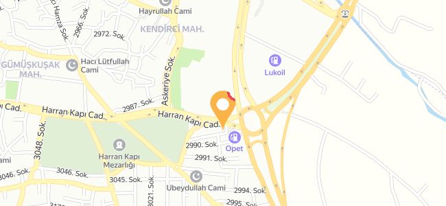 Zeki Usta Ciğer Salonu, Onikiler