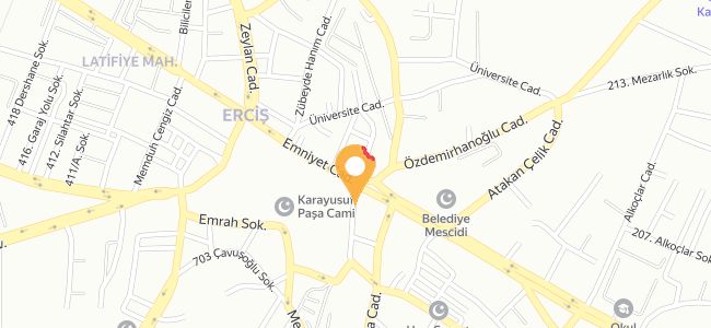 Emek Saray, Camikebir