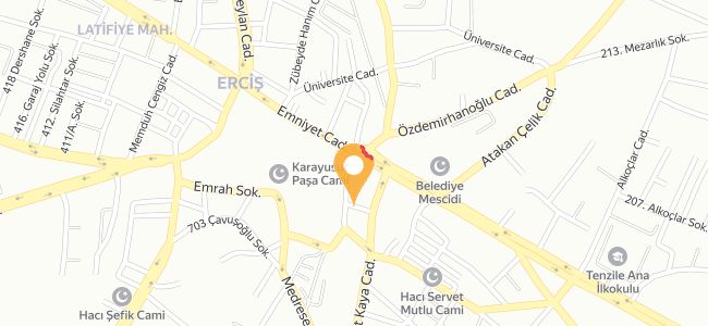 Hamburgerci Oktay Usta, Camikebir