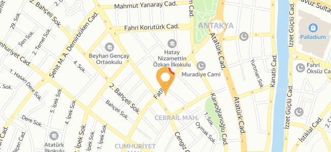 Alibaba Kasap Izgara Köfte, Hatay Merkez