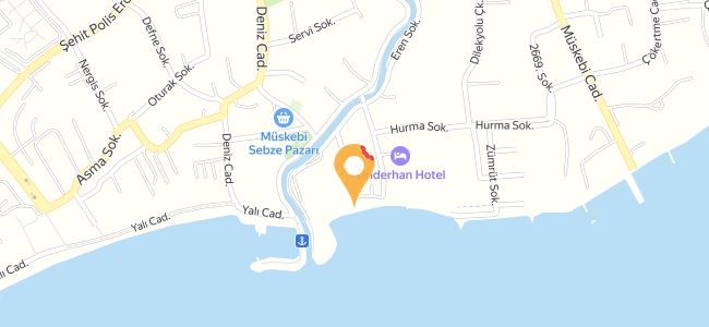 Dayı Balık Sahıl Restaurant, Müskebi