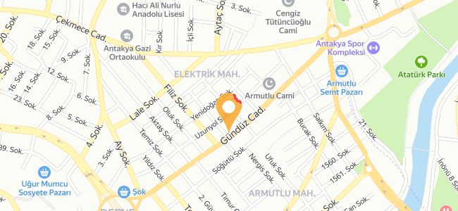 Görgülü Aş Evi Escom, Elektrik