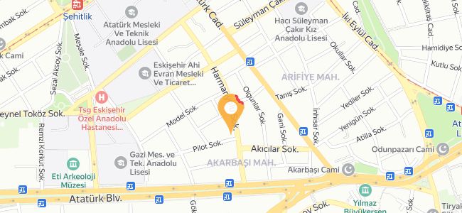 Ustam Tantuni Köfte, Odunpazarı Merkez