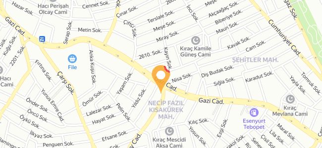 Azim Usta, Necip Fazıl Kısakürek
