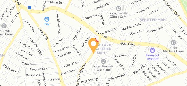 Çiğköfteci Sırrı Usta, Necip Fazıl Kısakürek