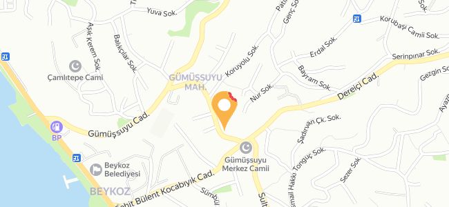 Dostlar Kebap Lahmacun Ve Pide Salonu, Gümüşsuyu