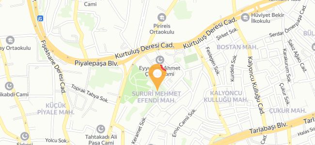 Efruz Elçin Akinan, Sururi Mehmet Efendi
