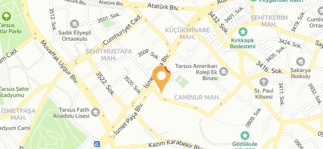 Taşkın Ustanın Yeri, Caminur