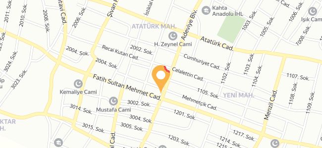 Cadde Tantuni, Atatürk