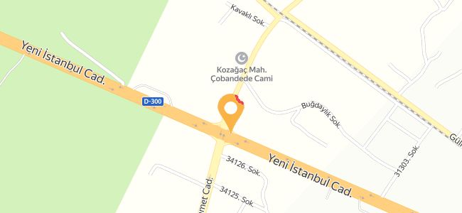 Mevlüt Ustanın Yeri, Kozağaç