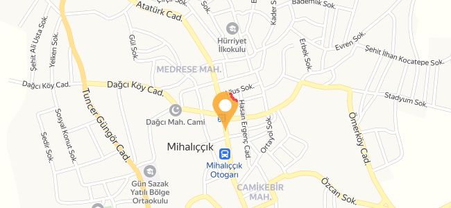 Özlen Tantuni, Camikebir