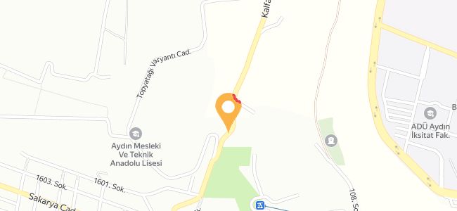 Güler Besicilik, Köprülü Veysipaşa