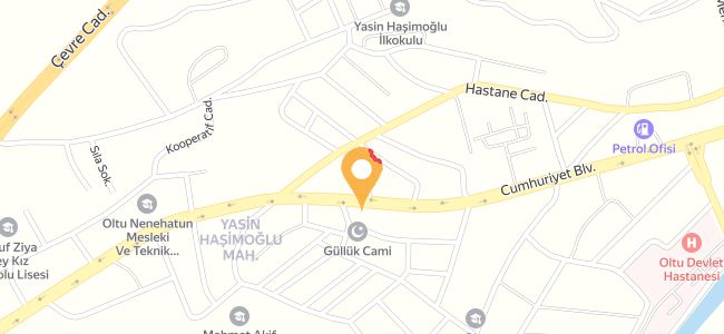 Hikm Et Burger, Yasin Haşimoğlu