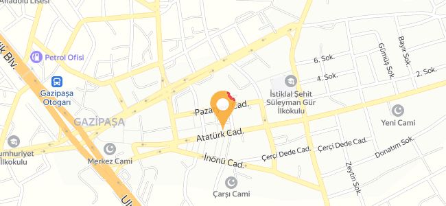 Nefis Tantuni Pizza Köfte, Aydın