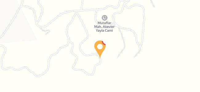 Perihan Abla Restoran, Kavşıt