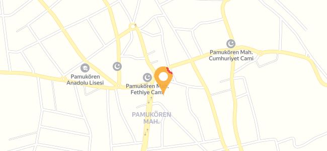 Kümes Tavukcusu Ve Fast Food, Pamukören