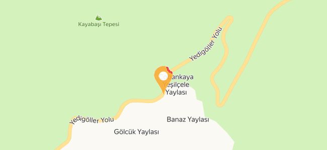 Buğram Gözleme Ve Çay Evi,