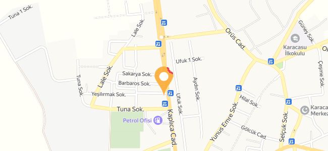 Fikret Usta, Karacasu Belediyesi