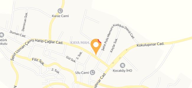 Nargül Paça Pide Kebap Salonu, Kaya