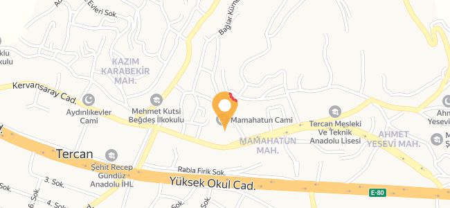 Tarihi Selçuklu Hamamı, Ahmet Yesevi