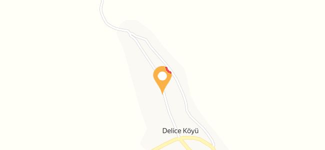 Yoldaşların Yeri, Delice Köyü