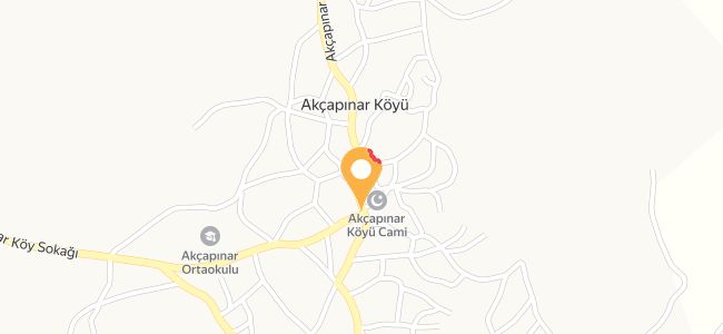 Doğal Ürünler Sergisi, Akçapınar Köyü