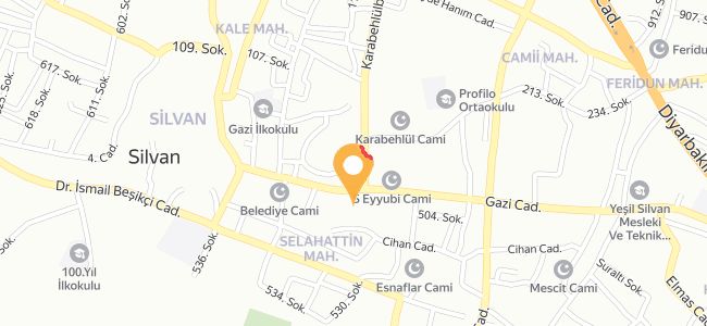 Kavurmacı İhsan Usta, Selahattin