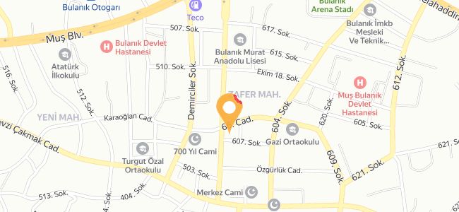 Aras Döner, Bulanık Merkez