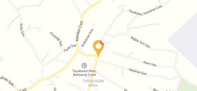 Muhittin Usta Köfte Ve Ev Yemekleri, Tayakadın