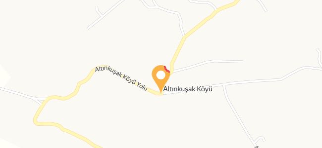 Restoran, Altınkuşak Köyü