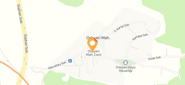 Salaş Cafe & Restoran Hot And Cold Drink Lamb Chop Meatball Chicken Wings, Odayeri