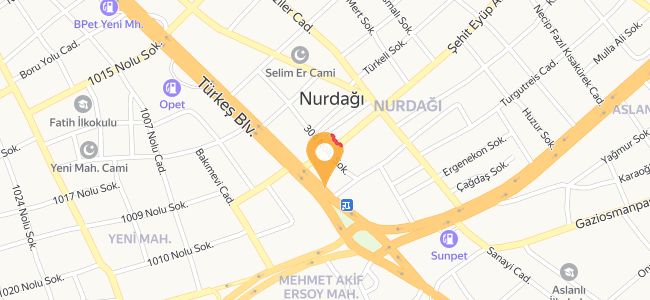 Ankara Yaprak Döner, Atatürk