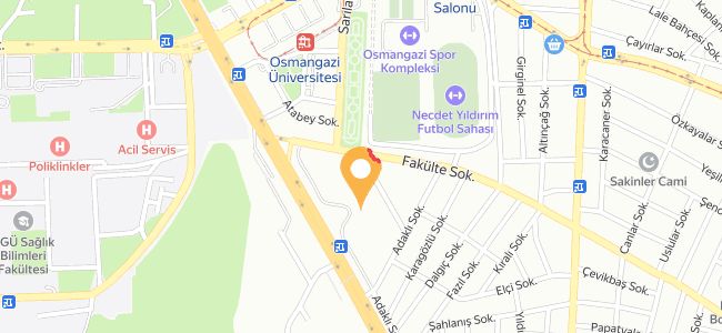 Dayı Kürek Lahmacun Eskişehir, Büyükdere