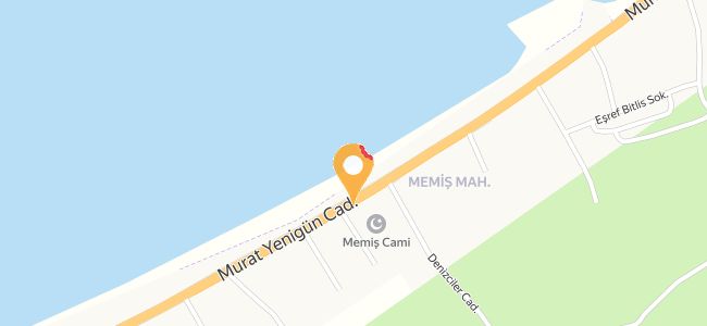 Çetinin Dünyası Güllü Erdemli, Memiş
