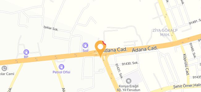 Kardeşler Kuzu Kokoreç, Ziya Gökalp