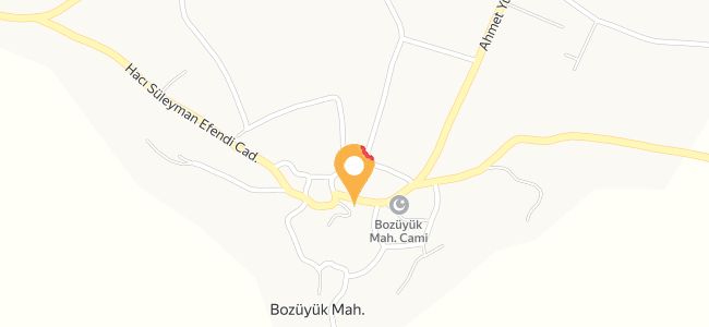 Güzelköyiçi Yöresel Lezzetler, Bozüyük