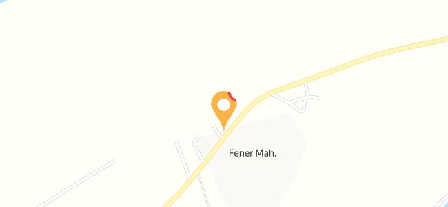 Oğuzhan Üçüncü, Fener