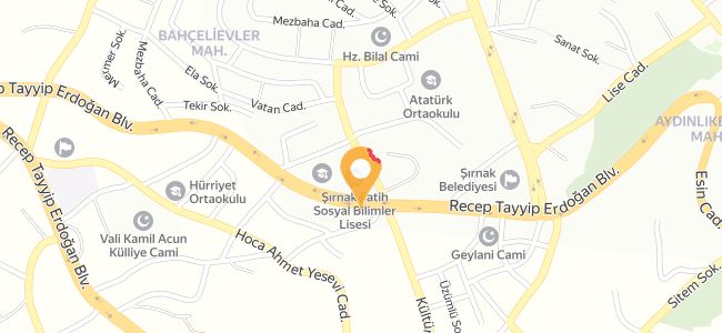 Üst Geçit Izgara Sactava Döner, Bahçelievler