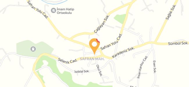 Safran Pide & Lahmacun Salonu, Safran