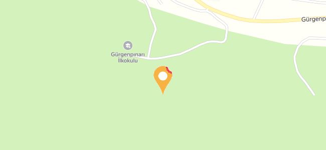 Gürgenpınar Balık Mangal, Gürgenpınarı Köyü