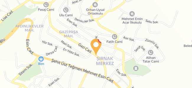 Mersin Tantuni, Gazi Paşa