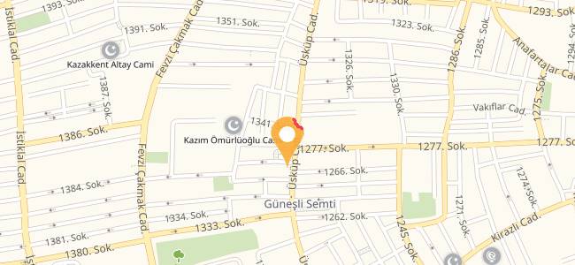 Kardeşler Döner Kokoreç, Bağcılar