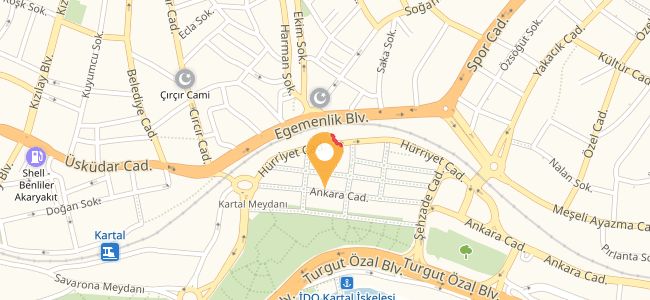 Lavinya Pizza, Kartal