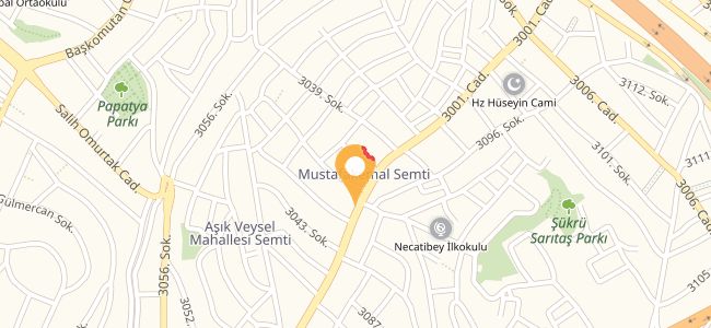 Aliza Kanat & Kebap Salonu, Aşık Veysel