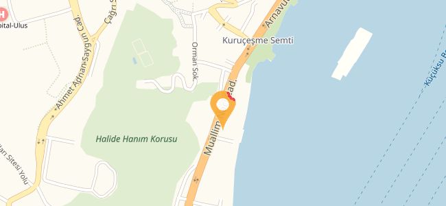 Mavi Balık, Kuruçeşme