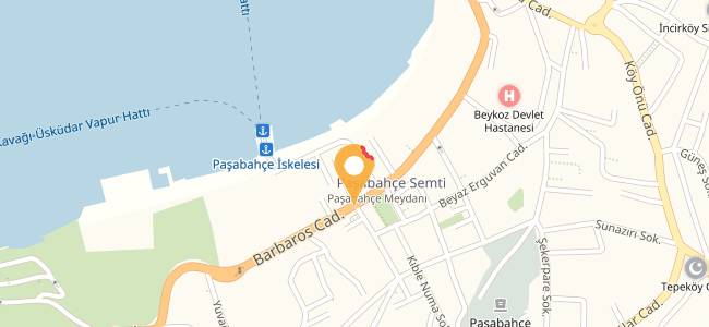 Bizim Balıkçı, Paşabahçe