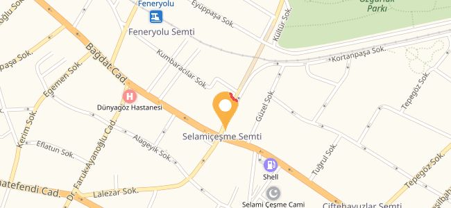 Tarihi Sultanahmet Köftecisi, Göztepe