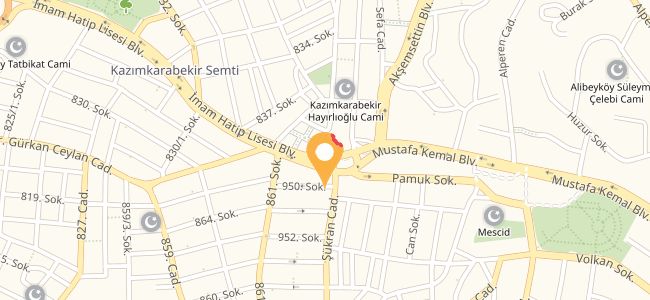 Yaran Cafe, Mevlana